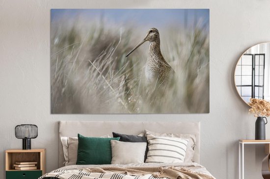 Canvas schilderij 180x120 cm - Wanddecoratie Een watersnip tussen het hoge riet - Muurdecoratie woonkamer - Slaapkamer decoratie - Kamer accessoires - Schilderijen