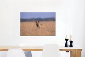 Canvas Schilderij Hyena - Gras - Azië - 60x40 cm - Wanddecoratie
