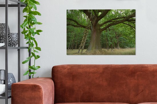 Echelle en bois contre un vieux chêne Toile 90x60 cm - Tirage photo sur toile (Décoration murale salon / chambre) / Arbres Peintures sur toile