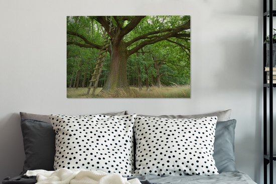Echelle en bois contre un vieux chêne Toile 90x60 cm - Tirage photo sur toile (Décoration murale salon / chambre) / Arbres Peintures sur toile