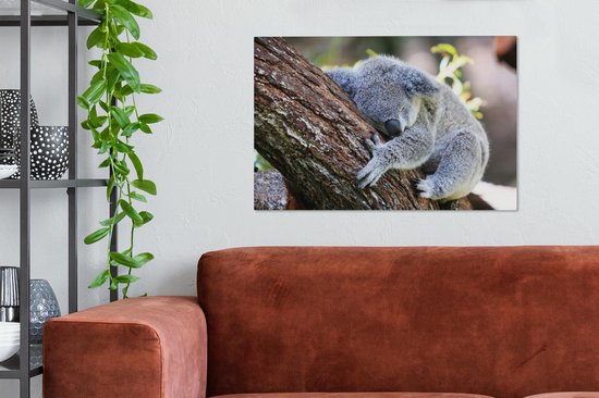 Peintures sur Toile Koala - Arbre - Endormi - 90x60 cm - Décoration murale