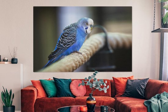Canvas schilderij 150x100 cm - Wanddecoratie Knalblauwe parkiet op een dik touw - Muurdecoratie woonkamer - Slaapkamer decoratie - Kamer accessoires - Schilderijen
