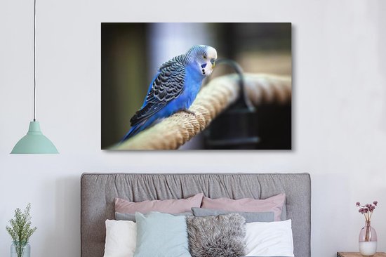 Canvas schilderij 150x100 cm - Wanddecoratie Knalblauwe parkiet op een dik touw - Muurdecoratie woonkamer - Slaapkamer decoratie - Kamer accessoires - Schilderijen