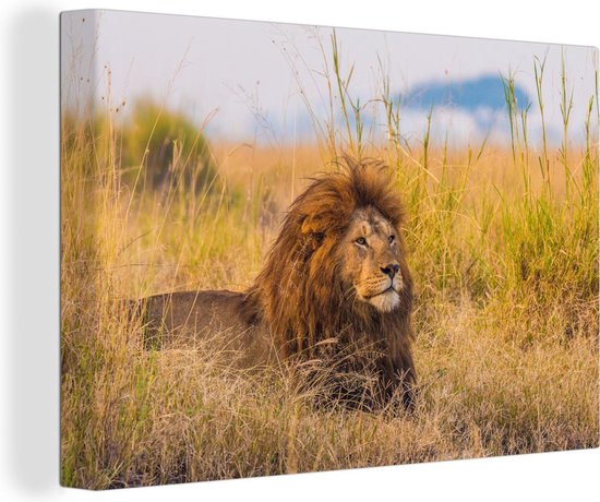 Canvas Schilderij Mannetjes leeuw tussen het gras hoge gras in het Nationaal park Serengeti - 90x60 cm - Wanddecoratie