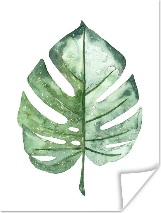 Poster Illustration aquarelle feuille de monstera papier 30x40 cm - petit - Tirage photo sur Poster (décoration murale salon / chambre) / Poster d'art