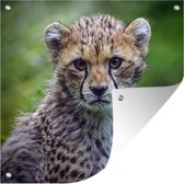Tuinposters Portret van een cheeta - 50x50 cm - Tuindoek - Buitenposter