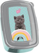 Studio Pets Lunchbox Rainbow Kitten - 18 x 12 x 6 cm - BPA-vrij
