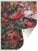 Tuinschilderij Antieke vogelprent roodborstjes - 60x80 cm - Tuinposter - Tuindoek - Buitenposter
