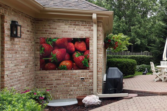 Affiche jardin - Toile Posters de jardin extérieur - Fraises - Fruits - Feuilles - 120x80 cm - Jardin