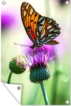 Tuinposter - Tuindoek - Tuinposters buiten - Vlinder - Bloemen - Insecten - 80x120 cm - Tuin