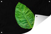 Tuindecoratie Groen blad op zwarte achtergrond - 60x40 cm - Tuinposter - Tuindoek - Buitenposter