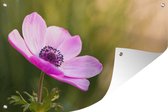 Tuinposter - Tuindoek - Tuinposters buiten - Macro shot roze anemoon - 120x80 cm - Tuin