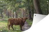 Tuinposter - Tuindoek - Tuinposters buiten - Bos - Schotse hooglander - Licht - 120x80 cm - Tuin