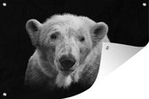 Tuindecoratie Portretfoto ijsbeer op zwarte achtergrond in zwart-wit - 60x40 cm - Tuinposter - Tuindoek - Buitenposter