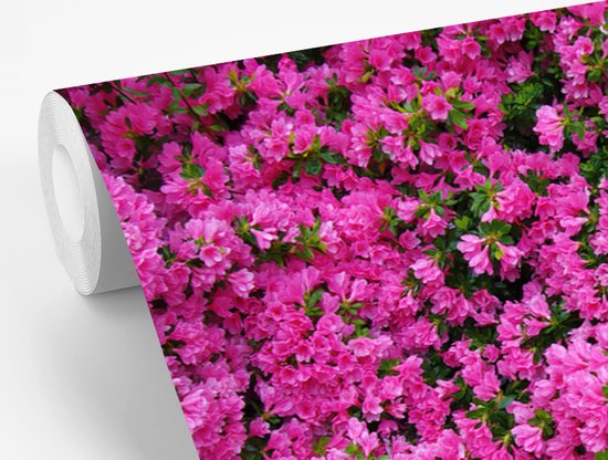 Papier peint photo peint photo vinyle - Azalée buisson largeur 330 cm x hauteur 220 cm - Tirage photo sur papier peint (disponible en 7 tailles)