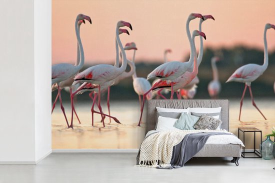 Flamants roses au coucher du soleil 330x220 cm