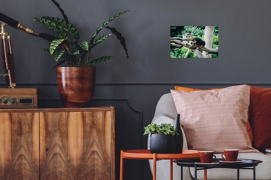 Stickers Stickers muraux - Jeune chimpanzé dans la jungle - 30x20 cm - Film adhésif