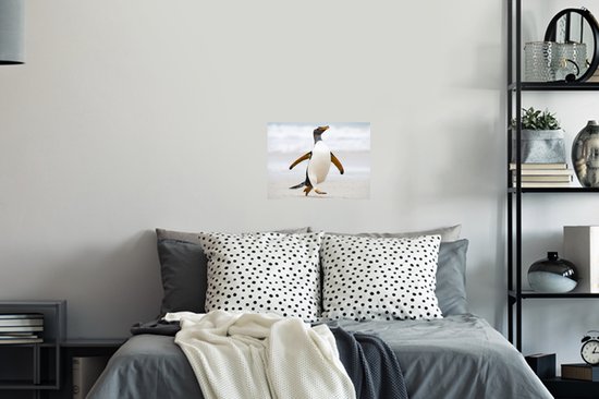 Sticker Muursticker Pingouins - pingouin court sur la plage - 40x30 cm - film adhésif autocollant - sticker mural repositionnable