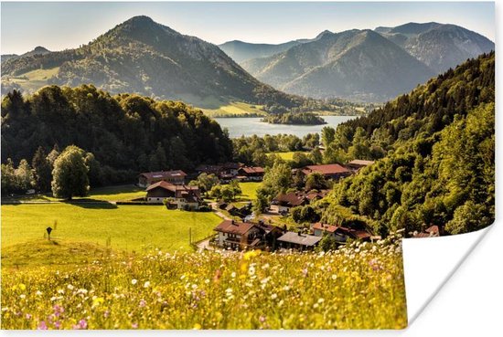 Poster Alpes - Montagnes - Prairie fleurie - 30x20 cm