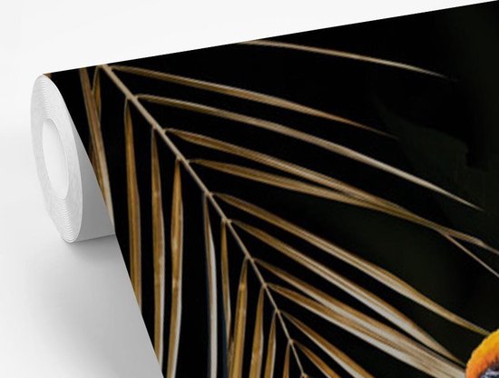 Fond d' écran - Papier peint photo - multicolore oiseau sur une main et fond noir - Largeur 195 cm x hauteur 300 cm