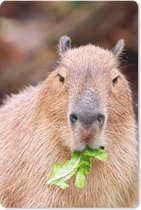 Muismat Capibara - Een Capibara die groene salade eet muismat rubber - 18x27 cm - Muismat met foto