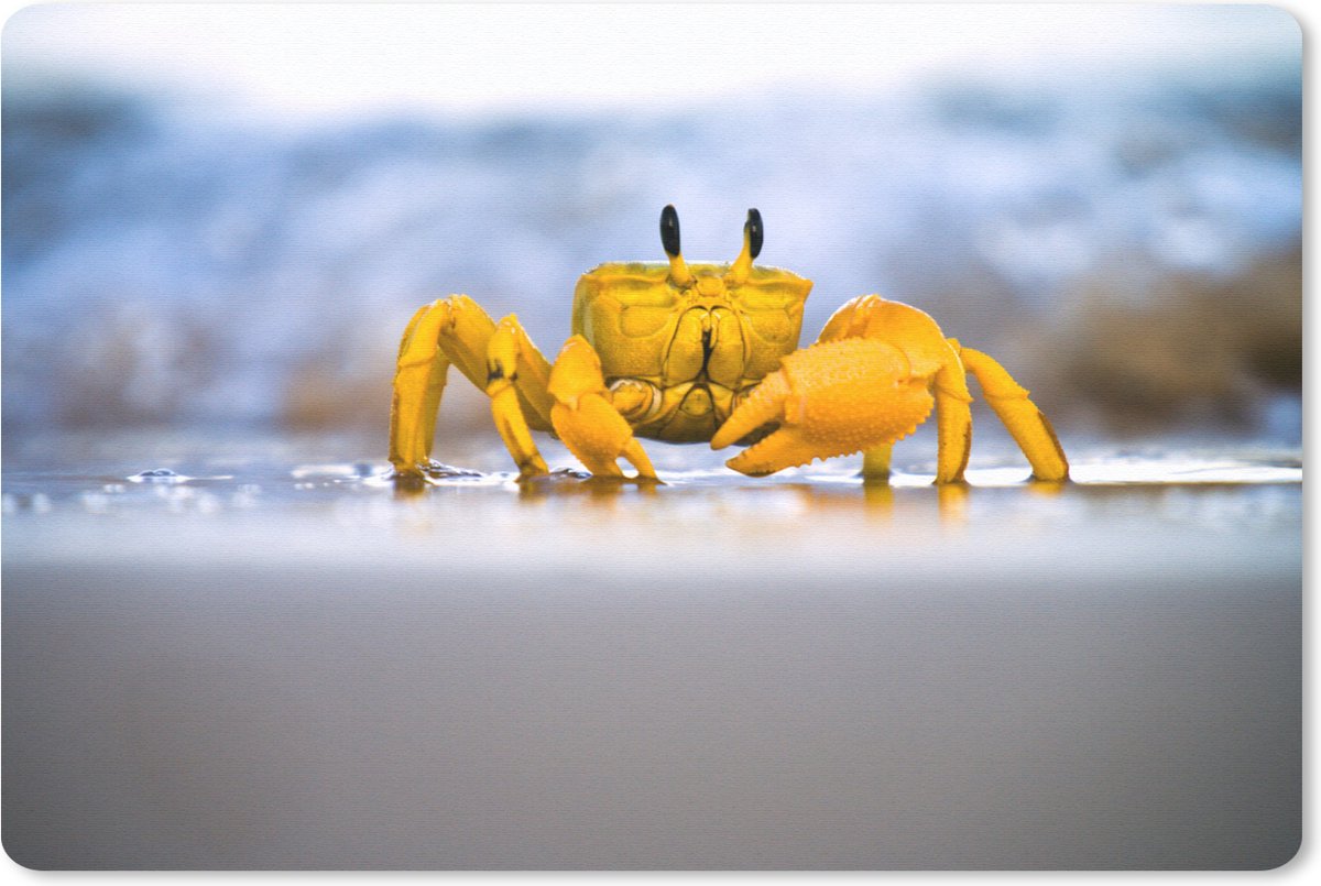 Muismat Kleurrijke Dieren - Gekleurde krab op het zand muismat rubber - 27x18 cm - Muismat met foto