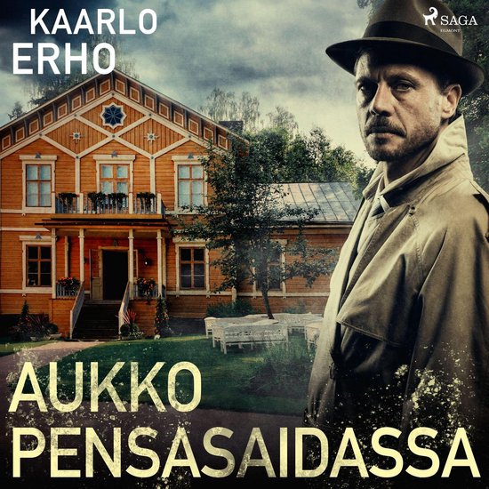 Aukko pensasaidassa - cover