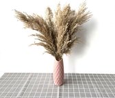 Gedroogd EXTRA FLUFFY Pampa Gras Decoratie voor binnenhuis -  - 10pcs raw pink vase