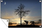 Muurdecoratie Olifanten in zonsondergang - 180x120 cm - Tuinposter - Tuindoek - Buitenposter