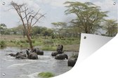 Muurdecoratie Afrikaanse olifanten in het water - 180x120 cm - Tuinposter - Tuindoek - Buitenposter