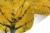 Arbre en automne affiche de jardin en vrac 120x80 cm - Toile de jardin / Toile d'extérieur / Peintures pour l'extérieur (décoration de jardin)