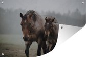 Tuindecoratie Paarden - Mist - Gras - 60x40 cm - Tuinposter - Tuindoek - Buitenposter