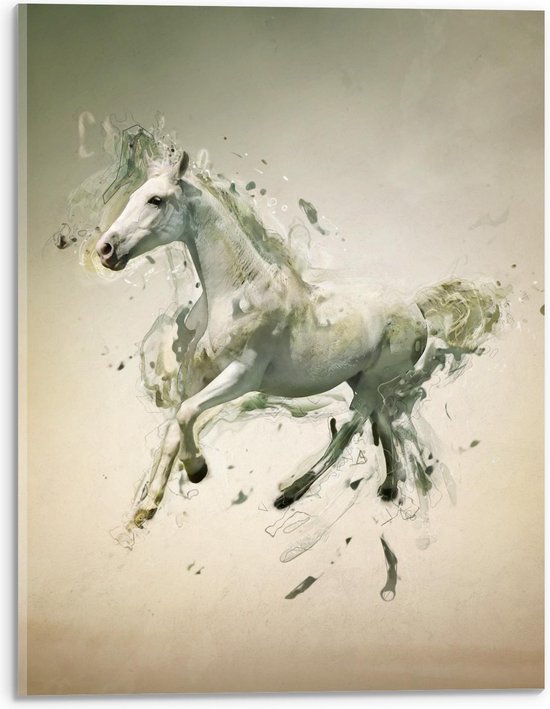 Acrylglas - Galopperend Paard met Lijntjes  - 30x40cm Foto op Acrylglas (Met Ophangsysteem)