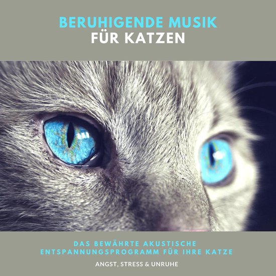 Beruhigende Musik für Katzen - cover