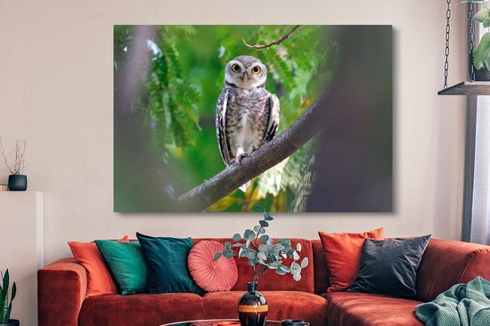 Owl assis sur la branche toile 2cm 150x100 cm - impression photo sur toile peinture (Décoration murale salon / chambre à coucher) / Animaux sauvages Peintures Toile