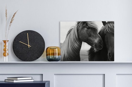 Gros plan de deux chevaux (noir et blanc) sur toile 2cm 40x30 cm - petit - Tirage photo sur toile (Décoration murale salon / chambre) / Animaux sauvages Peintures sur toile
