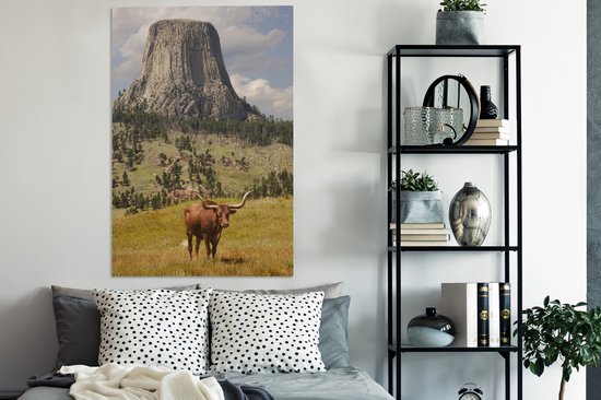 Tour des Diables dans le Wyoming avec une toile de taureau 2cm 90x140 cm - Tirage photo sur toile (Décoration murale salon / chambre)