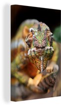 Toile - Caméléon en exploration - 20x30 cm - Décoration