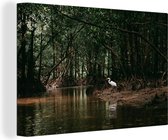 Héron en toile forêt mangrove 2cm 60x40 cm - impression photo sur toile peinture (Décoration murale salon / chambre à coucher) / Animaux sauvages Peintures Toile