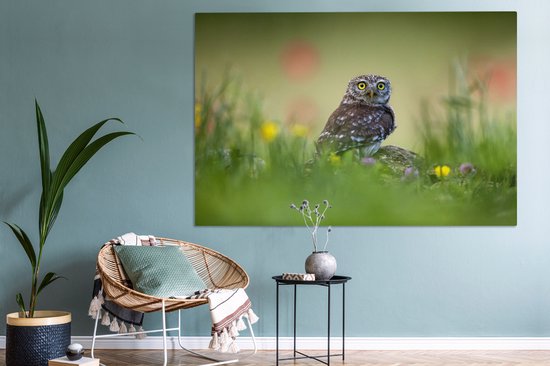 Chouette assise sur un rocher dans un champ 180x120 cm - Tirage photo sur toile (Décoration murale salon / chambre) XXL / Groot format!