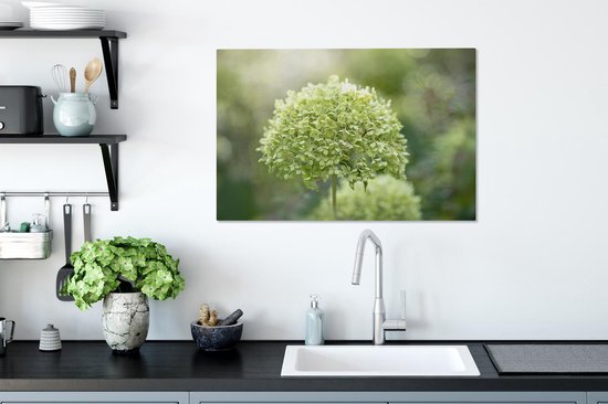 Hortensia vert sur fond délavé 60x40 cm - Tirage photo sur toile (Décoration murale salon / chambre) / Peintures Fleurs sur toile