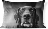 Buitenkussens - Tuin - Dierenprofiel labrador hond in zwart-wit - 60x40 cm