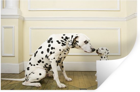 boog Excursie beheerder Muurstickers - Sticker Folie - Hond - Pup - Huis - 30x20 cm - Plakfolie -  Muurstickers... | bol.com