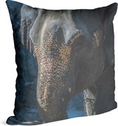 Aziatische olifant - Foto op Sierkussen - 50 x 50 cm