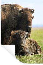 Stickers muraux - Sticker Feuille - Buffle - Herbe - Veau - 40x60 cm - Film Adhésif - Stickers muraux Chambre Enfant - Papier Peint Auto Adhésif