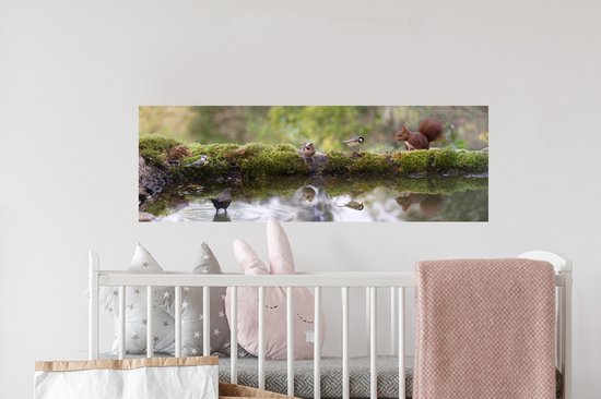 Sticker Muursticker Forest life - Animaux de la forêt près de la piscine - 90x30 cm - film autocollant - sticker mural repositionnable