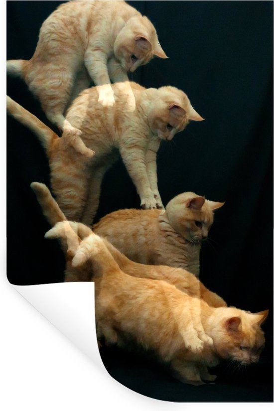Stickers muraux - Chat qui saute - 40x60 cm - Film adhésif
