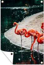 Muurdecoratie Flamingo's bij het water - 120x180 cm - Tuinposter - Tuindoek - Buitenposter
