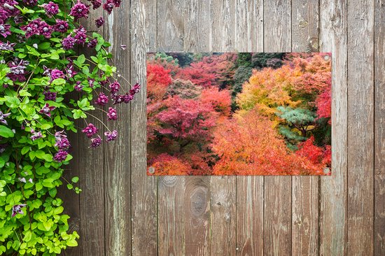 Forêt d' Érables japonais à Kyoto 90x60 cm