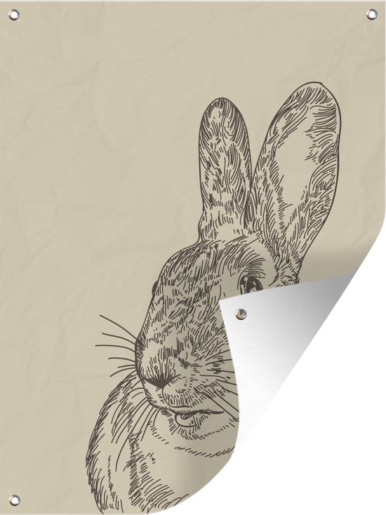 Illustration Vintage d'une affiche de jardin de lapin en vrac